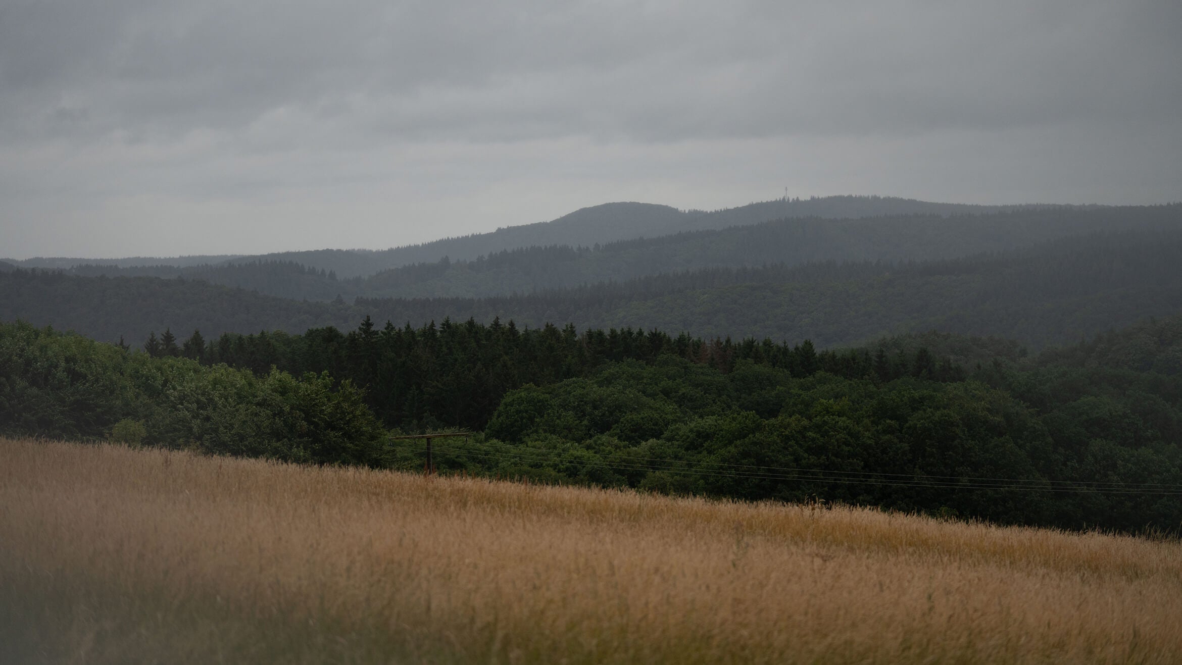 Genesis Track Taxi Nordschleife

